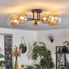 Chehalis Ceiling Light - glass 10 cm, 12 cm, 15 cm gold, black, 6-light sources