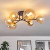 Chehalis Ceiling Light - glass 10 cm, 12 cm, 15 cm gold, black, 6-light sources