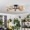 Chehalis Ceiling Light - glass 10 cm, 12 cm, 15 cm gold, black, 6-light sources