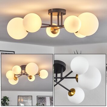 Chehalis Ceiling Light - glass 10 cm, 12 cm, 15 cm gold, black, 6-light sources
