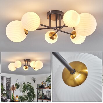 Chehalis Ceiling Light - glass 10 cm, 12 cm, 15 cm gold, black, 6-light sources
