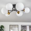 Chehalis Ceiling Light - glass 12 cm, 15 cm gold, black, 6-light sources