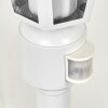 Loria path light white, 1-light source, Motion sensor