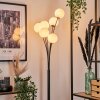 Bernado Floor Lamp - glass 12 cm white, 6-light sources