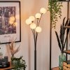 Bernado Floor Lamp - glass 10 cm white, 6-light sources