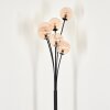 Bernado Floor Lamp - glass 12 cm Amber, 6-light sources
