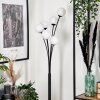 Bernado Floor Lamp - glass 10 cm white, 6-light sources
