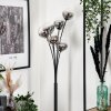 Bernado Floor Lamp - glass 12 cm clear, Smoke-coloured, 6-light sources