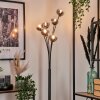 Bernado Floor Lamp - glass 10 cm clear, Smoke-coloured, 6-light sources