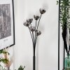 Bernado Floor Lamp - glass 10 cm clear, Smoke-coloured, 6-light sources