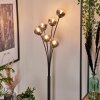 Bernado Floor Lamp - glass 10 cm clear, Smoke-coloured, 6-light sources