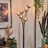 Bernado Floor Lamp - glass 10 cm clear, Smoke-coloured, 6-light sources