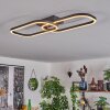 Silla Ceiling Light LED black, 1-light source