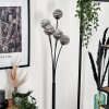 Bernado Floor Lamp - glass 10 cm Smoke-coloured, 5-light sources