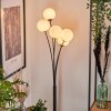 Bernado Floor Lamp - glass 12 cm white, 5-light sources