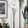 Bernado Floor Lamp - glass 12 cm white, 5-light sources