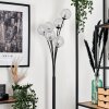 Bernado Floor Lamp - glass 12 cm silver, 6-light sources