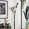Bernado Floor Lamp - glass 10 cm clear, Smoke-coloured, 6-light sources