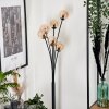 Bernado Floor Lamp - glass 10 cm Amber, 6-light sources