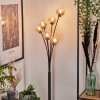 Bernado Floor Lamp - glass 10 cm Amber, clear, 6-light sources