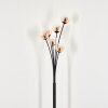 Bernado Floor Lamp - glass 10 cm Amber, clear, 6-light sources