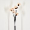 Bernado Floor Lamp - glass 12 cm Amber, clear, 6-light sources
