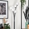 Bernado Floor Lamp - glass 12 cm white, 6-light sources