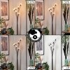 Bernado Floor Lamp - glass 10 cm clear, 6-light sources