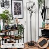 Bernado Floor Lamp - glass 10 cm Smoke-coloured, 6-light sources