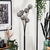 Bernado Floor Lamp - glass 12 cm Smoke-coloured, 6-light sources