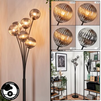 Bernado Floor Lamp - glass 12 cm Smoke-coloured, 6-light sources