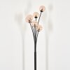 Bernado Floor Lamp - glass 10 cm Amber, 6-light sources