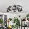 Chehalis Ceiling Light - glass 15 cm clear, Smoke-coloured, 6-light sources