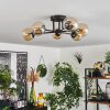 Chehalis Ceiling Light - glass 10 cm Amber, 6-light sources