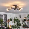 Chehalis Ceiling Light - glass 10 cm clear, 6-light sources