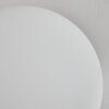 Chehalis Ceiling Light - glass 12 cm, 15 cm white, 6-light sources