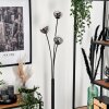 Bernado Floor Lamp - glass 10 cm clear, Smoke-coloured, 3-light sources