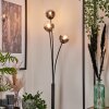 Bernado Floor Lamp - glass 10 cm clear, Smoke-coloured, 3-light sources