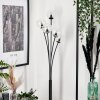 Bernado Floor Lamp - glass 10 cm clear, 5-light sources