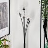 Bernado Floor Lamp - glass 10 cm clear, 5-light sources