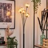 Bernado Floor Lamp - glass 10 cm Amber, 5-light sources