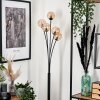 Bernado Floor Lamp - glass 10 cm Amber, 5-light sources