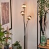 Bernado Floor Lamp - glass 10 cm Smoke-coloured, 3-light sources