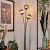 Bernado Floor Lamp - glass 12 cm Smoke-coloured, 3-light sources