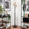 Bernado Floor Lamp - glass 10 cm Amber, 5-light sources