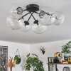 Chehalis Ceiling Light - glass 12 cm, 15 cm clear, 6-light sources