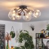 Chehalis Ceiling Light - glass 12 cm, 15 cm clear, 6-light sources
