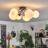 Chehalis Ceiling Light - glass 12 cm, 15 cm white, 6-light sources