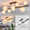 Chehalis Ceiling Light - glass 10 cm, 12 cm, 15 cm white, 10-light sources