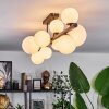 Chehalis Ceiling Light - glass 10 cm, 12 cm, 15 cm white, 10-light sources